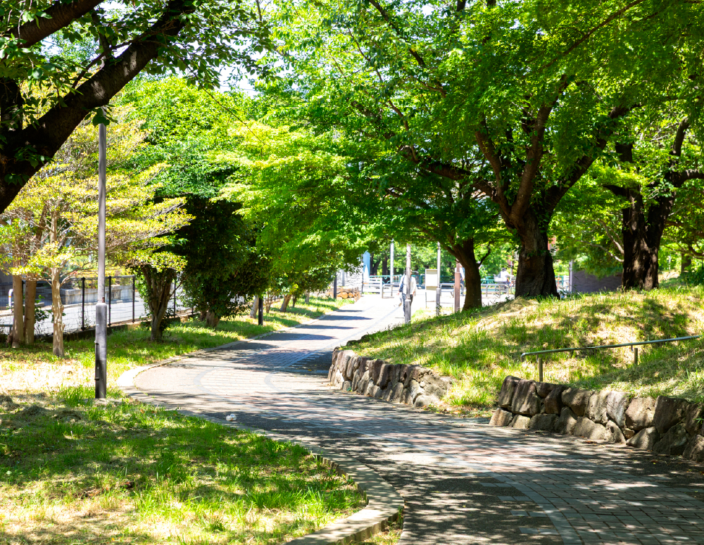 荒川赤羽緑地（徒歩14分／約1,060m）