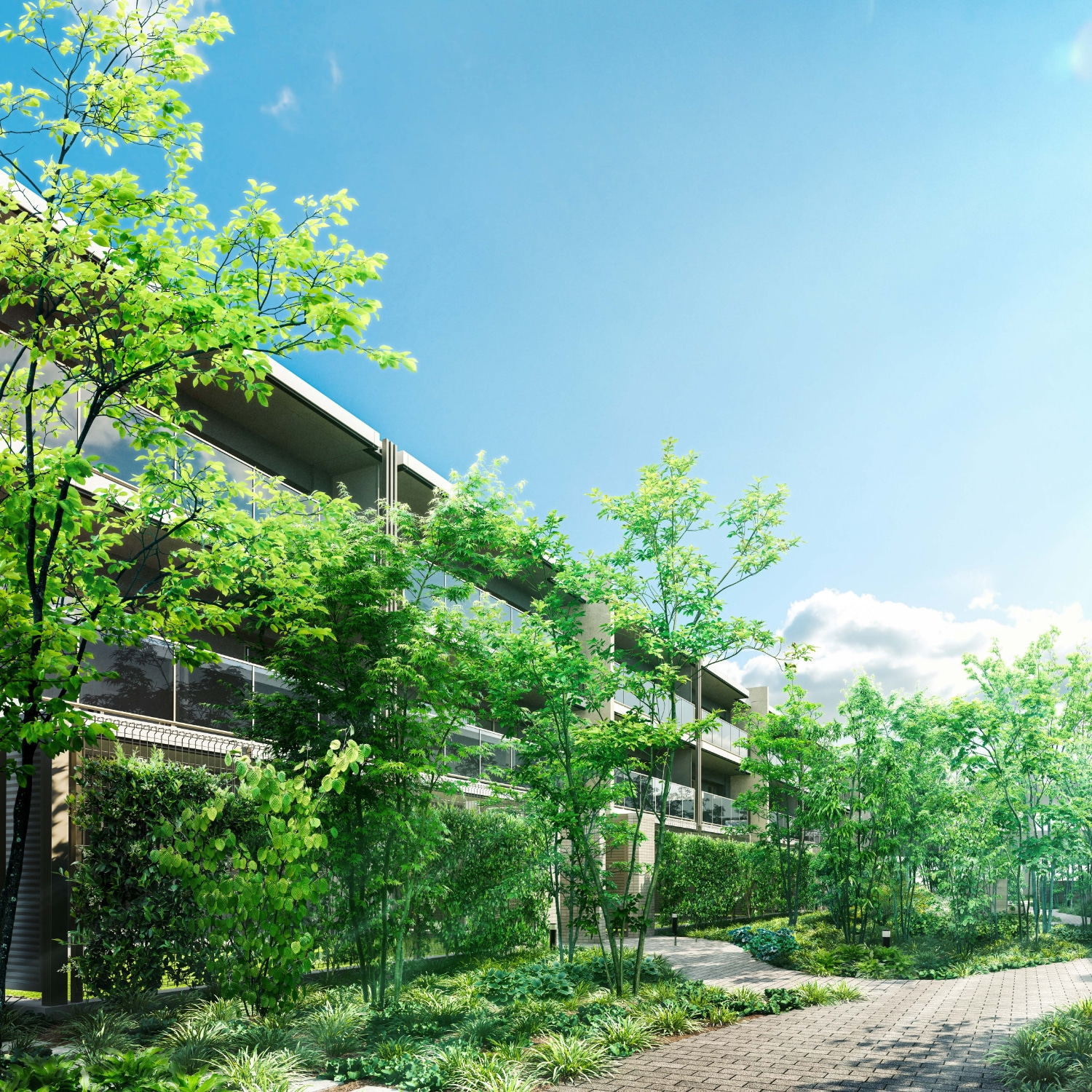 クレヴィア西国分寺