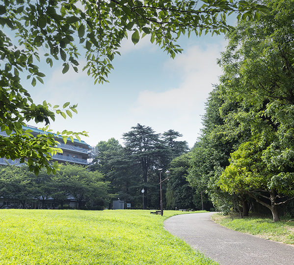 江古田の森公園