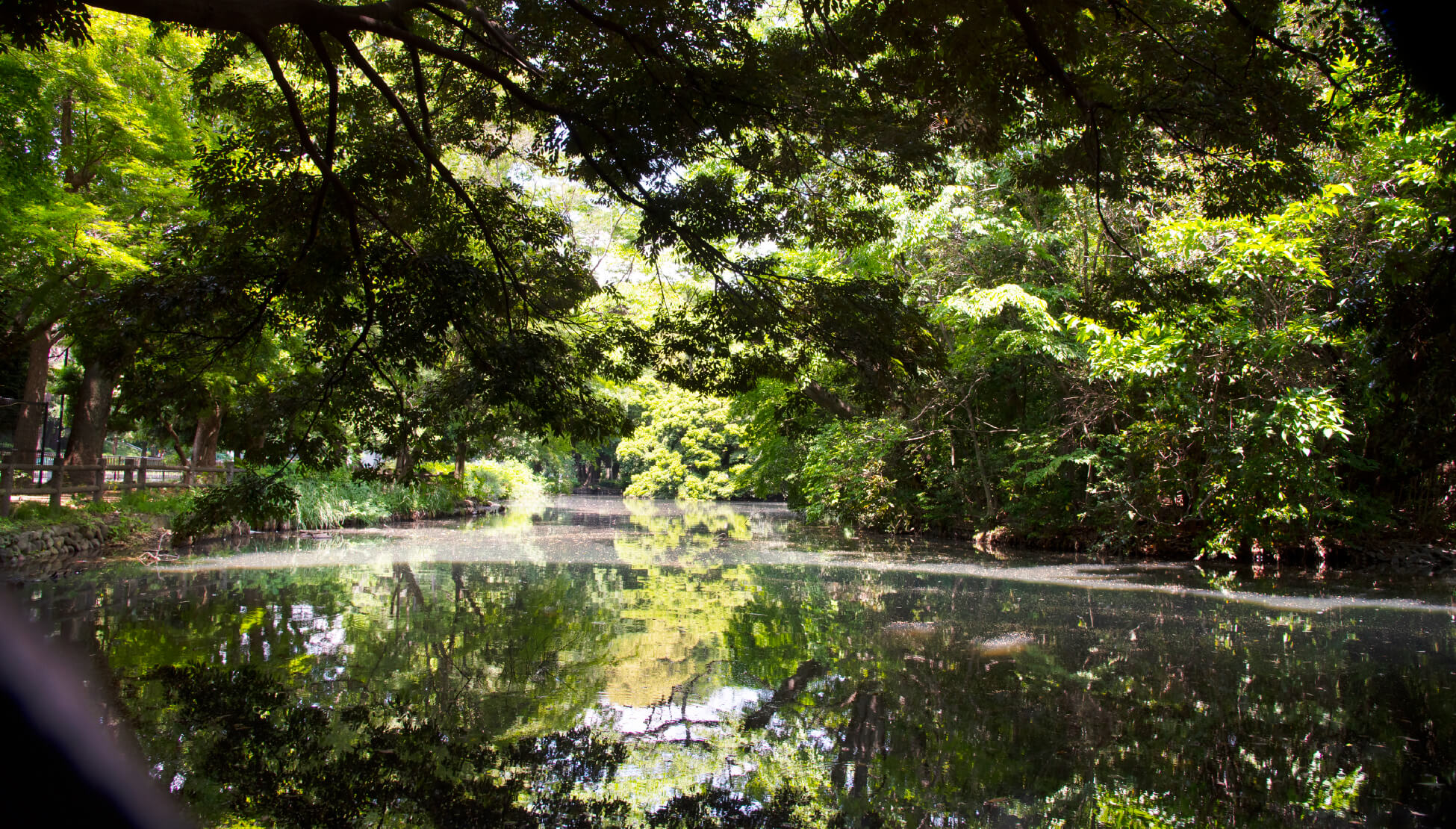 和田堀公園