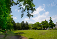 和田堀公園画像