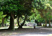和田堀公園画像