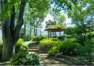 浜田山公園