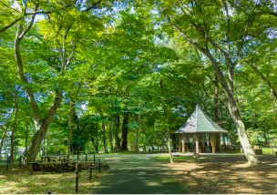 三井の森公園
