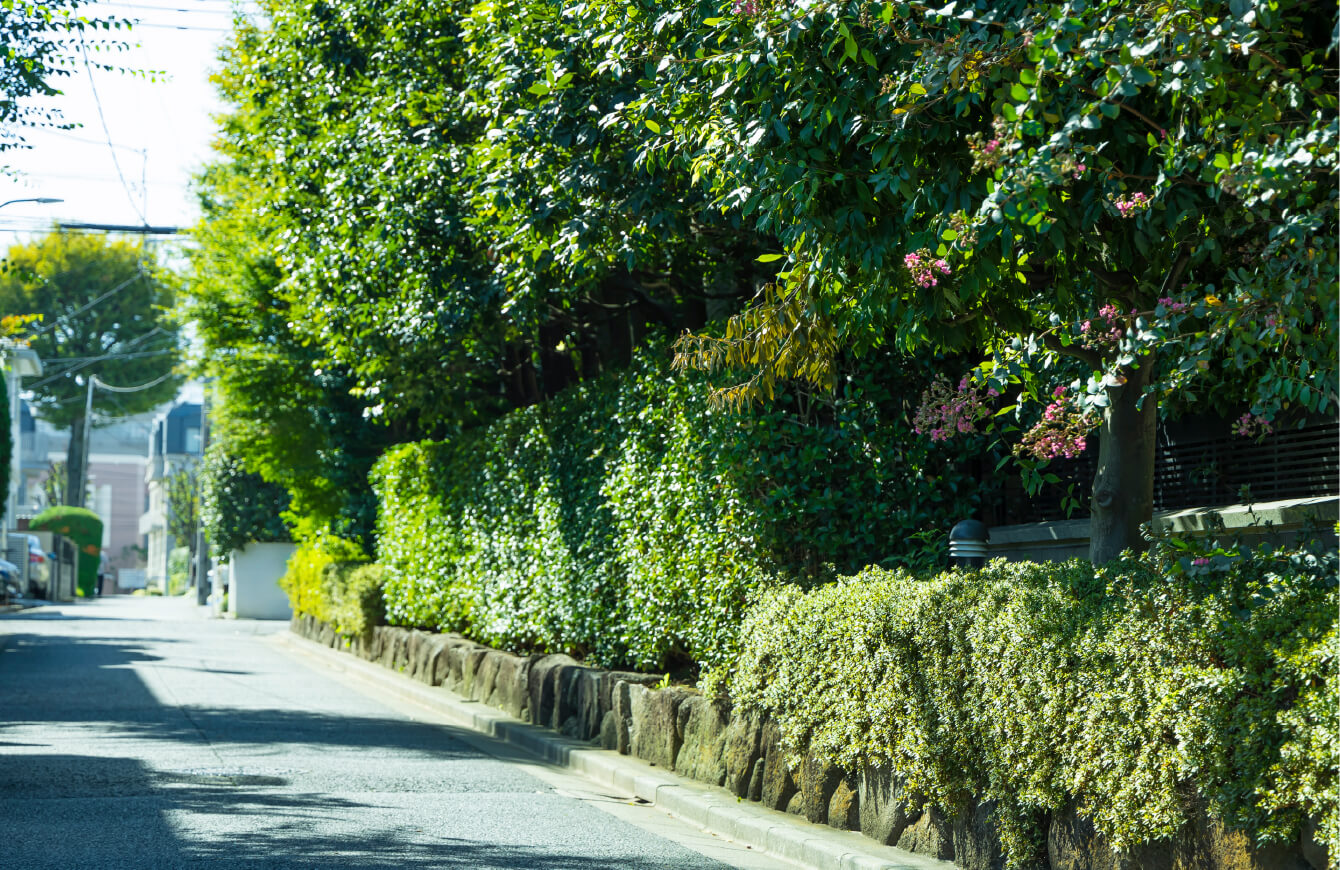 現地周辺の街並み写真