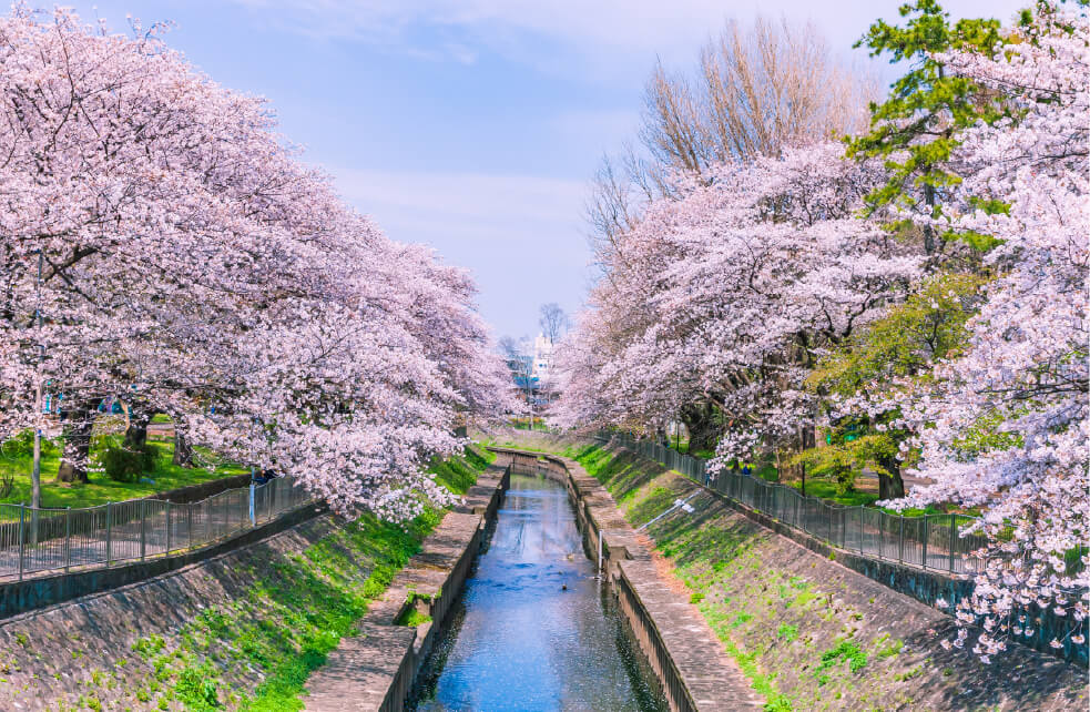 善福寺川緑地イメージ画像