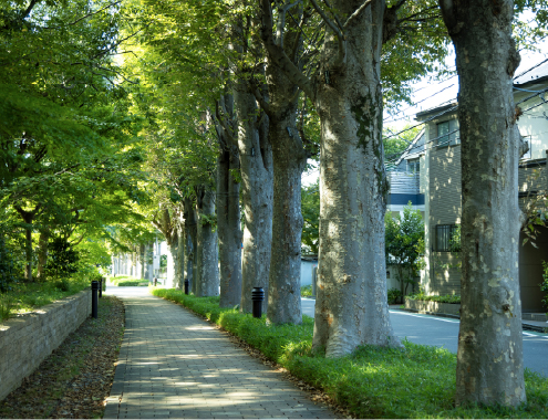 現地周辺の街並み写真