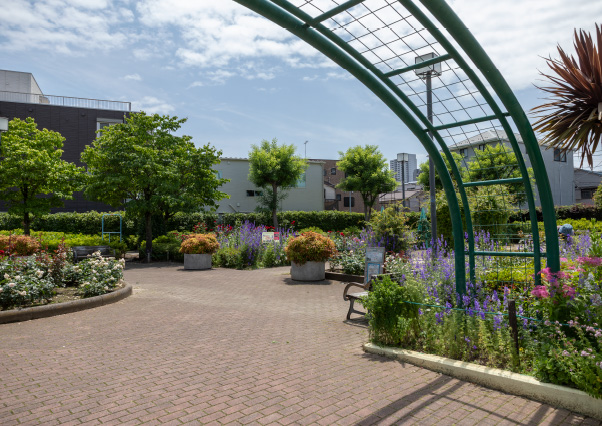 荒川二丁目南公園（徒歩8分・約580m）