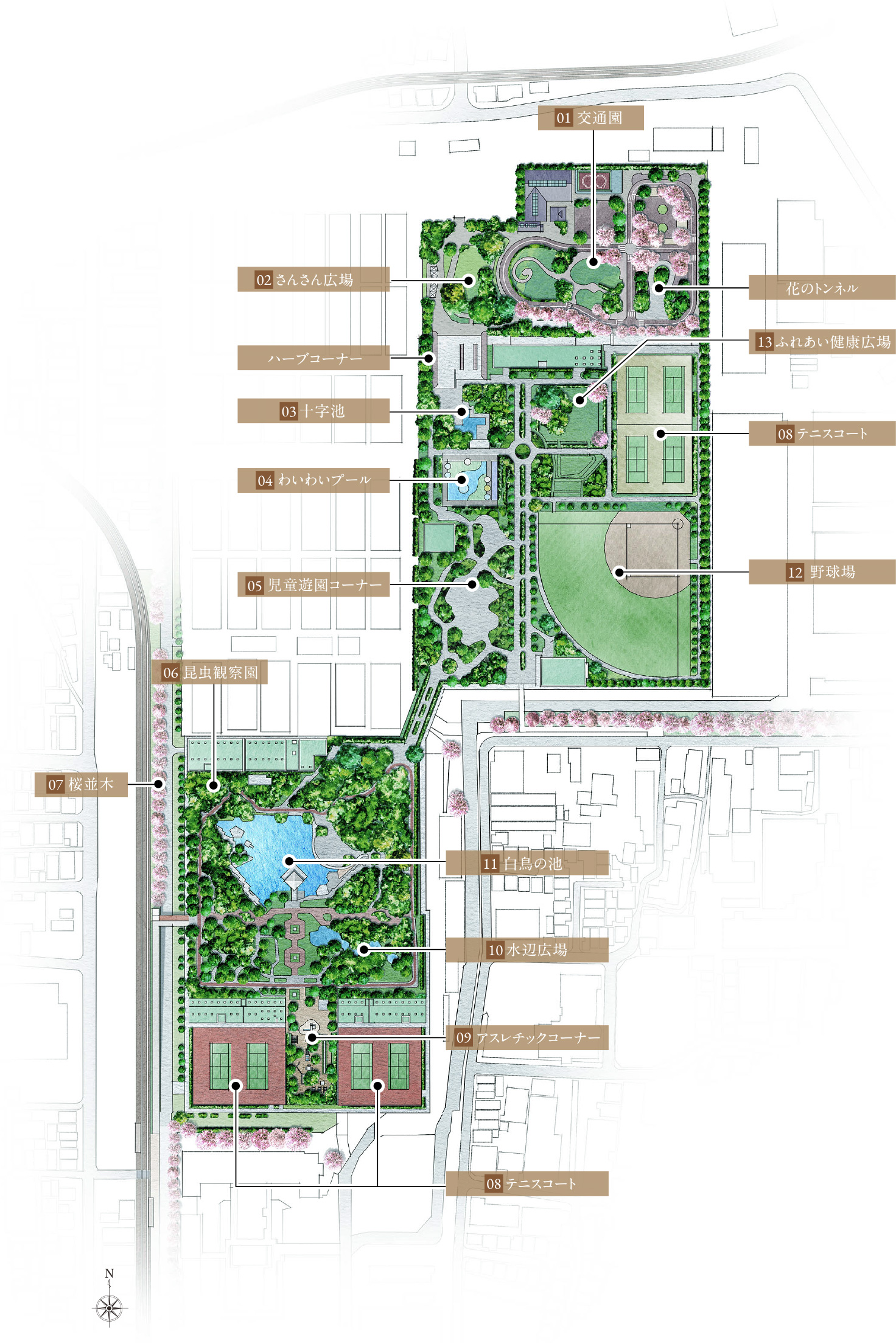 荒川自然公園概念イラスト