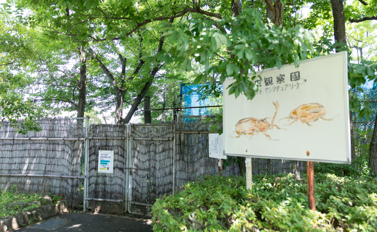 昆虫観察園