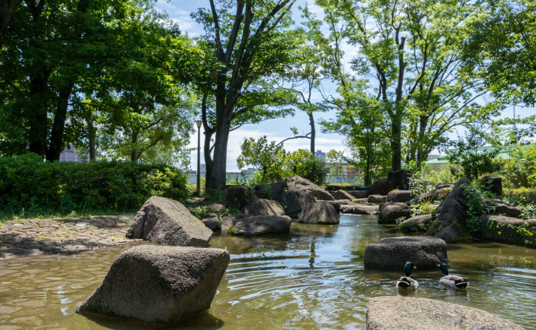 水辺広場