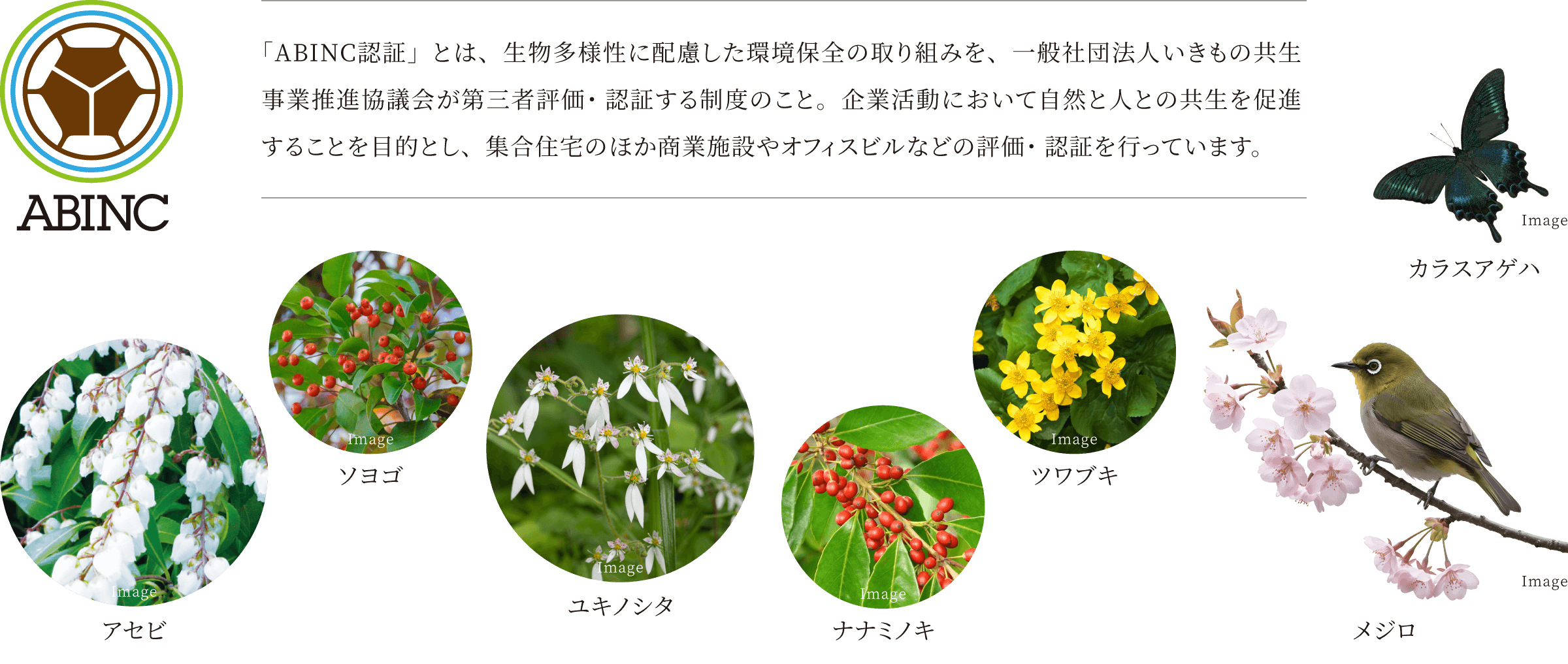 「ABINC認証」とは、生物多様性に配慮した環境保全の取り組みを、一般社団法人いきもの共生事業推進協議会が第三者評価・認証する制度のこと。企業活動において自然と人との共生を促進することを目的とし、集合住宅のほか商業施設やオフィスビルなどの評価・認証を行っています。