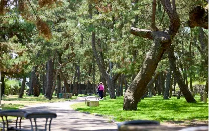 兵庫県立舞子公園