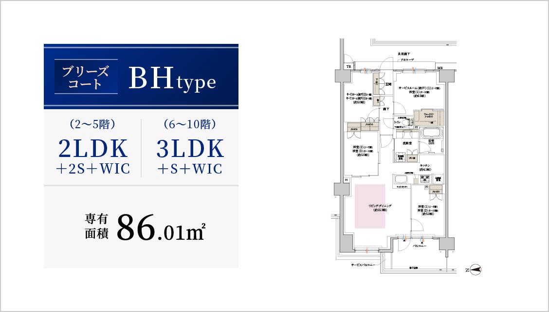 BH type