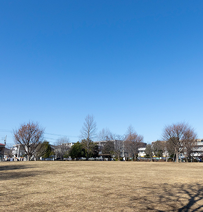 中村かしわ公園