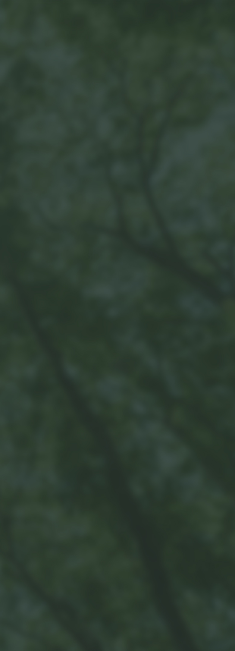 背景イメージ画像