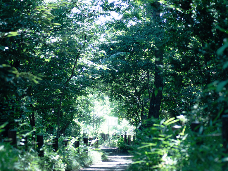 西恋ヶ窪緑地（エックス山）（約370m・徒歩5分）