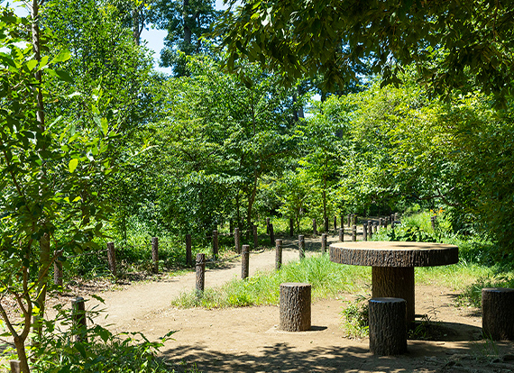 西恋ヶ窪緑地（エックス山）