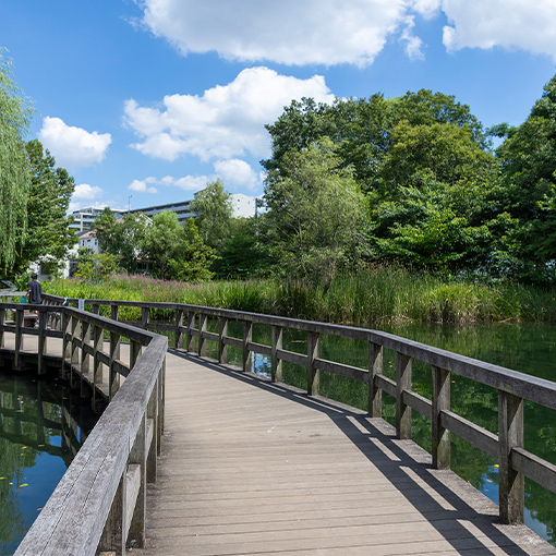 姿見の池緑地保全地域（約700m・徒歩9分）