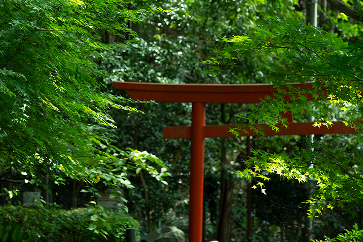 真姿の池（約1,920m・徒歩24分）