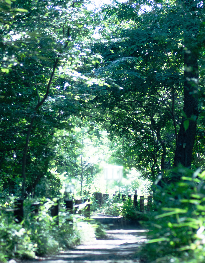 西恋ヶ窪緑地（エックス山）（約370m・徒歩5分）