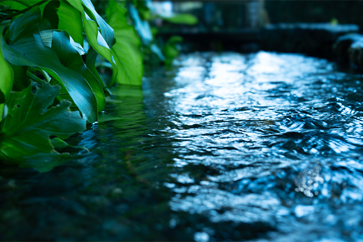 お鷹の道（約1,240m・徒歩16分）