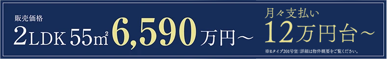 販売予定価格 2LDK 6,590万円〜
