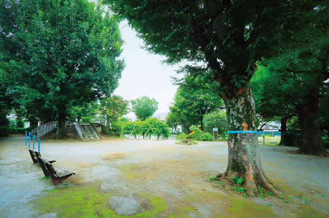 高野台中央公園（徒歩9分・約660m）