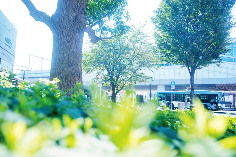 石神井公園駅周辺の街並み（徒歩3分・約240m）