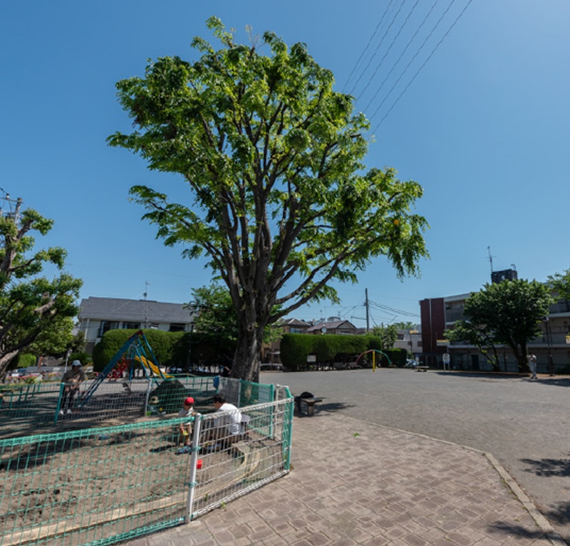 権蔵橋公園（徒歩3分／約180m）
