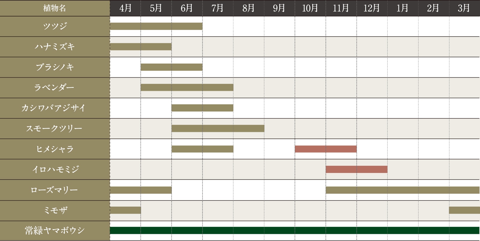 主な植栽の開花・紅葉時期