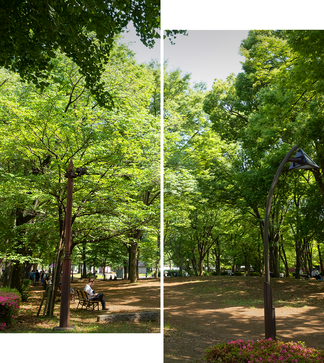 上野公園周辺