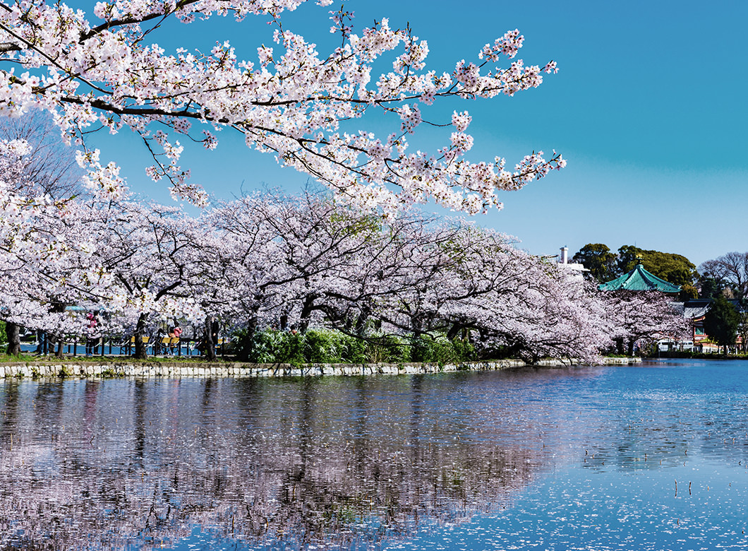 上野恩賜公園