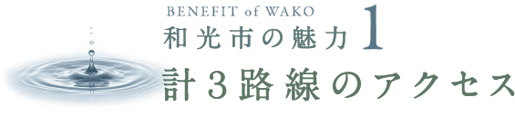 ベネフィット1 アクセス