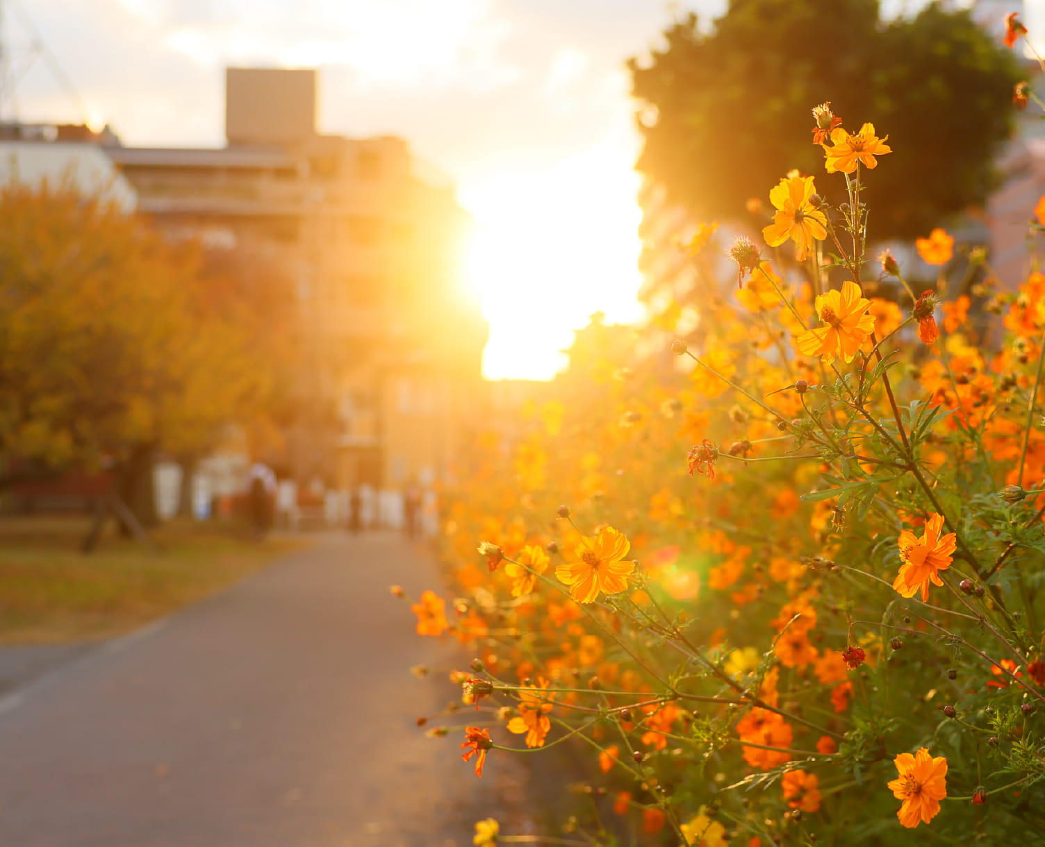 岡野公園