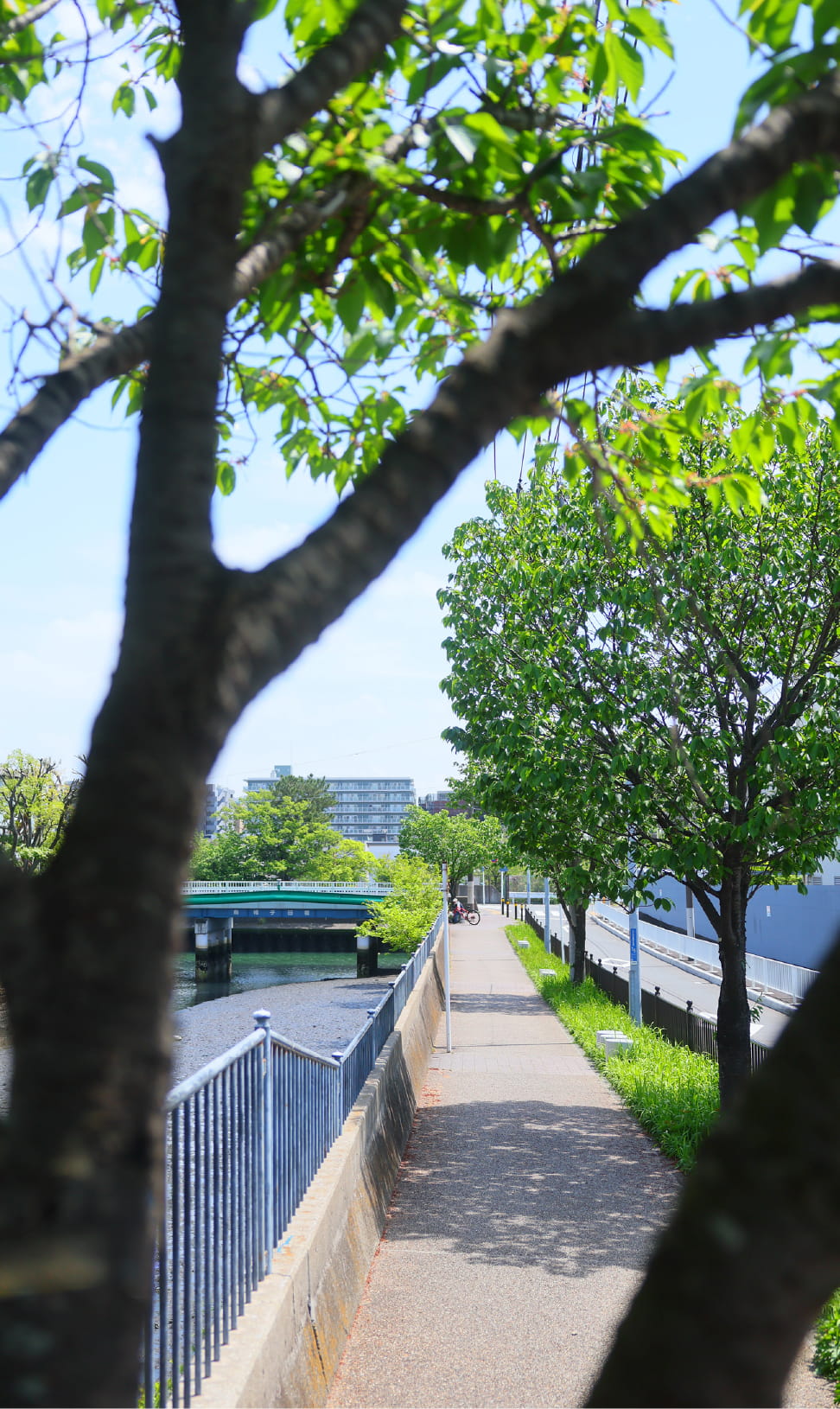 現地周辺の街並み